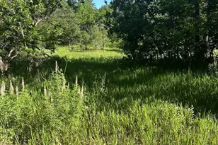 Tbd Pine Dr, Beulah, CO 81023 - Photo 1