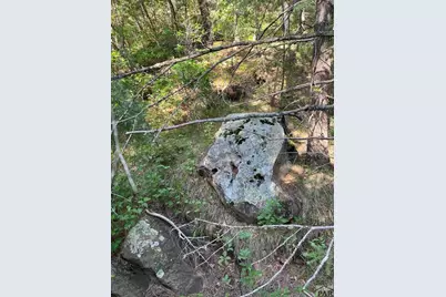 Tbd Pine Dr, Beulah, CO 81023 - Photo 4