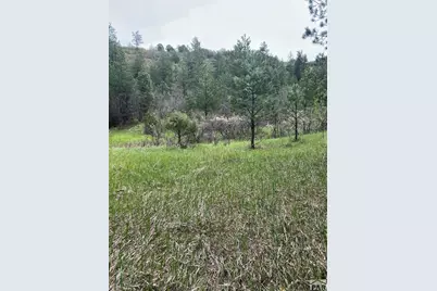 Tbd Pine Dr, Beulah, CO 81023 - Photo 8