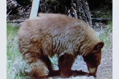 Tbd Forbes Rd, Fort Garland, CO 81133 - Photo 2