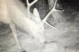 Tbd Forbes Rd, Fort Garland, CO 81133 - Photo 1