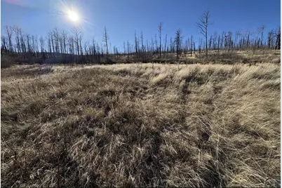 1654 Cary Ln, Fort Garland, CO 81133 - Photo 4