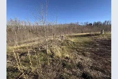 1654 Cary Ln, Fort Garland, CO 81133 - Photo 6