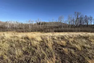 1654 Cary Ln, Fort Garland, CO 81133 - Photo 1