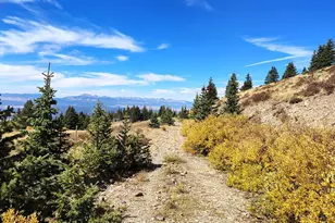 3939 McIntire Dr, Colorado City, CO 81019 - Photo 40