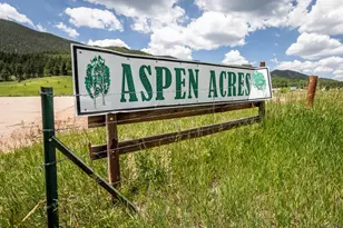 331 Westcliffe Dr, Rye, CO 81069 - Photo 48