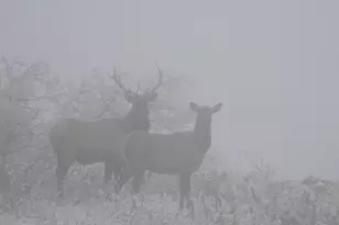 421 Terrace Trl, La Veta, CO 81055 - Photo 48