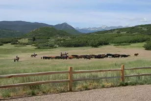 421 Terrace Trl, La Veta, CO 81055 - Photo 54