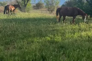 1400 K St, Penrose, CO 81240 - Photo 14