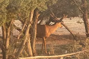 1400 K St, Penrose, CO 81240 - Photo 8