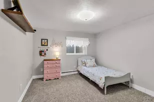 4501 Cedarweed Blvd, Pueblo, CO 81001 - Photo 48