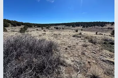 415 Kiowa Rd, Westcliffe, CO 81252 - Photo 12