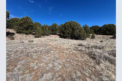 415 Kiowa Rd, Westcliffe, CO 81252 - Photo 10