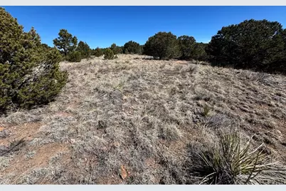 415 Kiowa Rd, Westcliffe, CO 81252 - Photo 2
