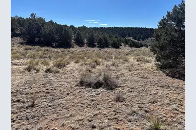 415 Kiowa Rd, Westcliffe, CO 81252 - Photo 24