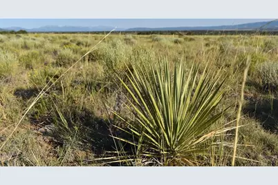 000 Lizard Ln, Gardner, CO 81040 - Photo 8