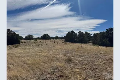 L29-30 B2 Orlando's Way, Walsenburg, CO 81089 - Photo 10