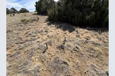 L29-30 B2 Orlando's Way, Walsenburg, CO 81089 - Photo 4