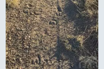 21 &amp; 22 Turkey Creek Ranches, Walsenburg, CO 81089 - Photo 22