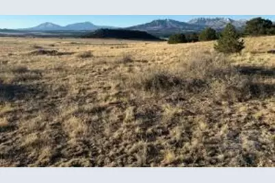 22 Turkey Creek Ranches, Walsenburg, CO 81089 - Photo 20