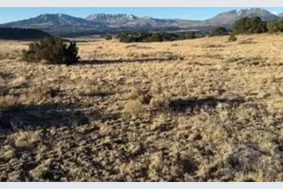 22 Turkey Creek Ranches, Walsenburg, CO 81089 - Photo 18