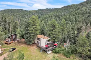 203 Co Rd 370, San Isabel, CO 81069 - Photo 50