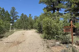13333 Stonewall Parallel Rd, Weston, CO 81091 - Photo 54