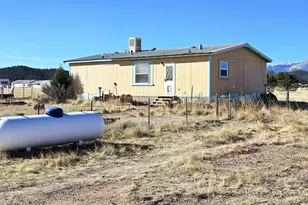 439 15th Trail, Cotopaxi, CO 81223 - Photo 2