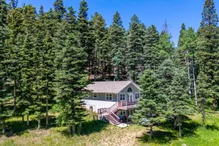 519 Westcliffe Dr, Rye, CO 81069 - Photo 10