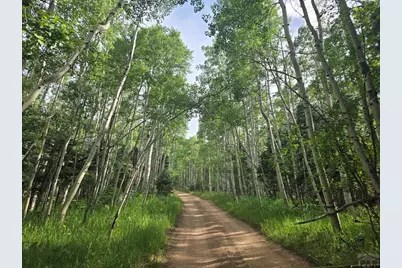 9626 State Hwy 165, Rye, CO 81069 - Photo 10