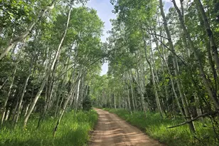 9626 State Hwy 165, Rye, CO 81069 - Photo 10