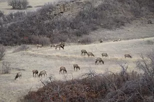 1325 Primavera Pl, La Veta, CO 81055 - Photo 48