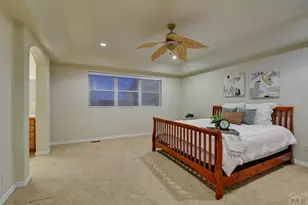 19679 Glen Shadows Dr, Colorado Springs, CO 80908 - Photo 22