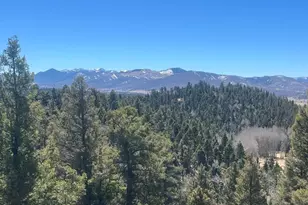 3140 Schierl Rd, Fort Garland, CO 81133 - Photo 4