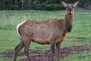 3140 Schierl Rd, Fort Garland, CO 81133 - Photo 50