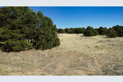 127 Navajo Ranch Resort, Walsenburg, CO 81089 - Photo 14