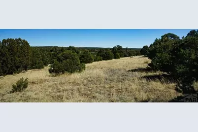 127 Navajo Ranch Resort, Walsenburg, CO 81089 - Photo 16