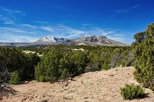 127 Navajo Ranch Resort, Walsenburg, CO 81089 - Photo 1