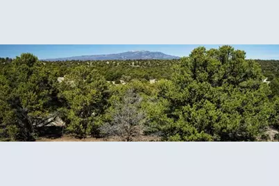 127 Navajo Ranch Resort, Walsenburg, CO 81089 - Photo 12