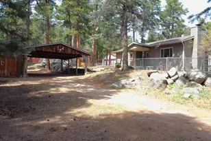 8285 Park Rd, Rye, CO 81069 - Photo 1