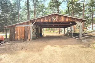 8285 Park Rd, Rye, CO 81069 - Photo 46