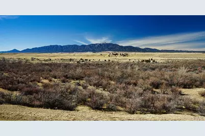 161 Colorado Land and Livestock, Walsenburg, CO 81089 - Photo 12