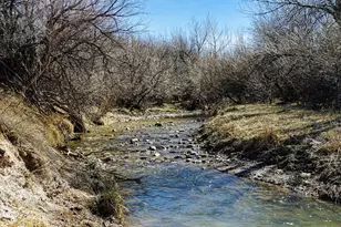 161 Colorado Land and Livestock, Walsenburg, CO 81089 - Photo 1
