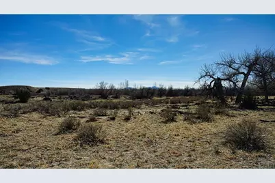 161 Colorado Land and Livestock, Walsenburg, CO 81089 - Photo 8