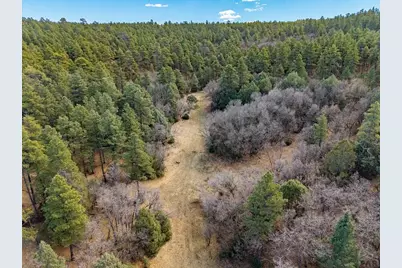 34999 Timber Park Dr, Trinidad, CO 81082 - Photo 22