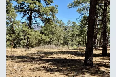 34999 Timber Park Dr, Trinidad, CO 81082 - Photo 8