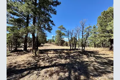 34999 Timber Park Dr, Trinidad, CO 81082 - Photo 6