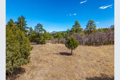 34999 Timber Park Dr, Trinidad, CO 81082 - Photo 14