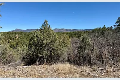 34999 Timber Park Dr, Trinidad, CO 81082 - Photo 10