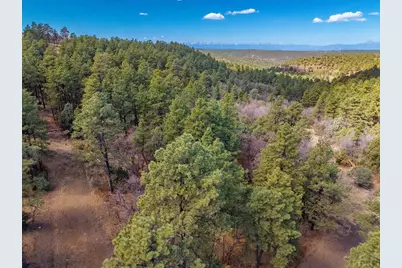 34999 Timber Park Dr, Trinidad, CO 81082 - Photo 24